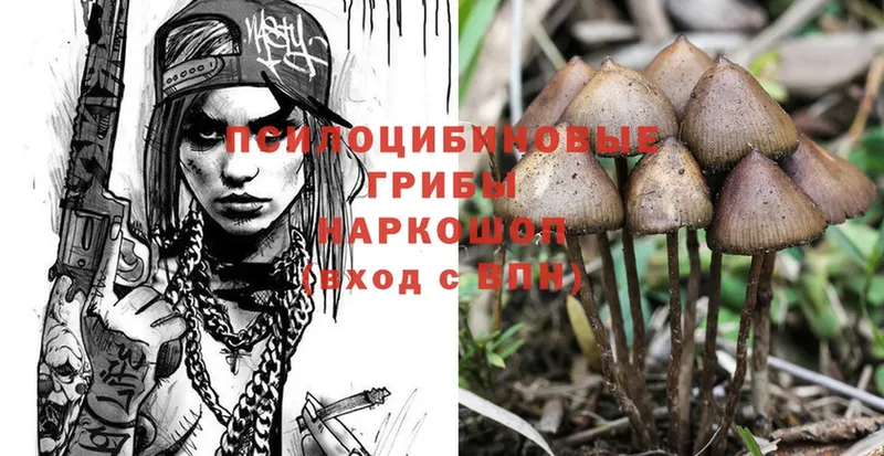 Псилоцибиновые грибы Magic Shrooms  Киреевск 